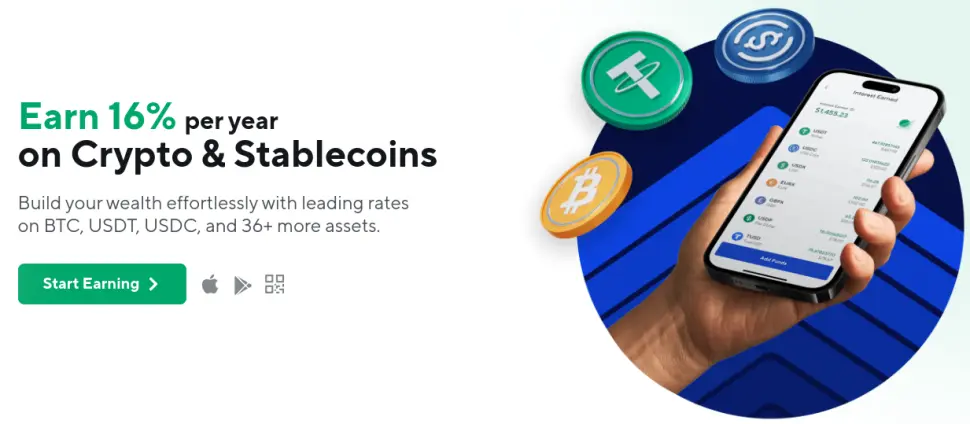 nexoweb