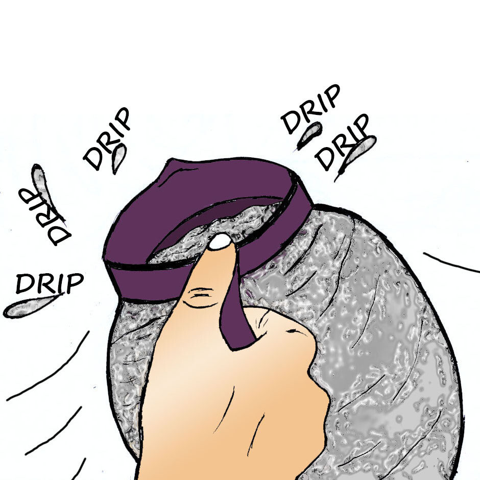 b25b569ce19ecef0daad1b8e9aea0a22020e28d26f770fdaa623304da36fb303.jpg