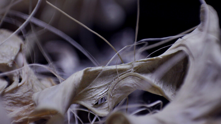 351665157-3ebe2445a7cd4d7bb8ab7dec11f51b86abe8dc63b8554373b1d3e4bf5da74995.jpeg