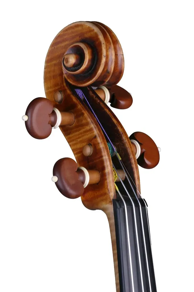 violin