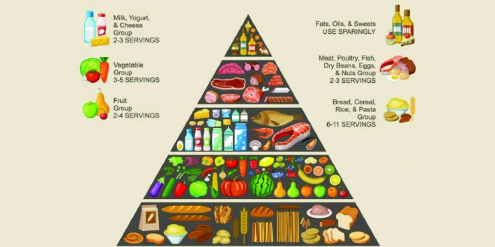 Food Pyramid