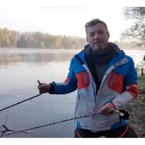 Forest Bandits Strike Again: Cutting the Ropes Incident