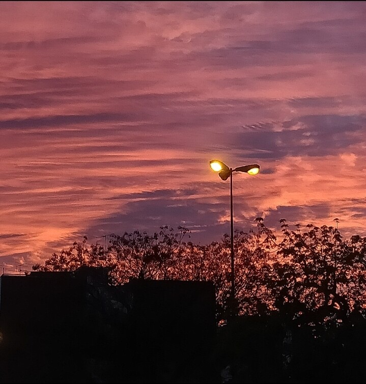 86f0e85b52fe7452532960f7ae21b7d1a13a79db802a03df7bb99e3538a84199.jpg
