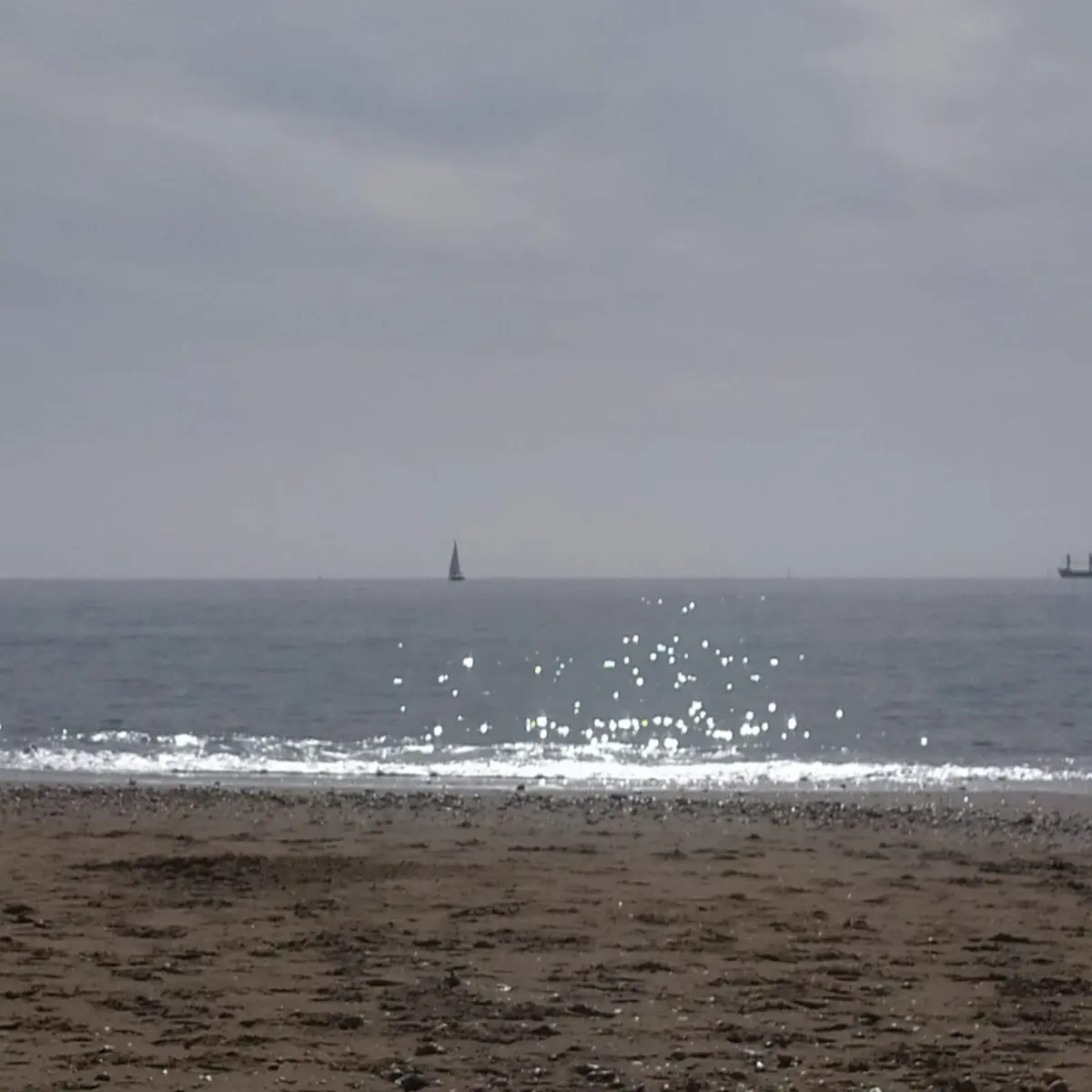 1b300475eb47f156d84082ba0a2ee5bfd29136f773a1e1d88ed0b21ae9f4ba19.jpg