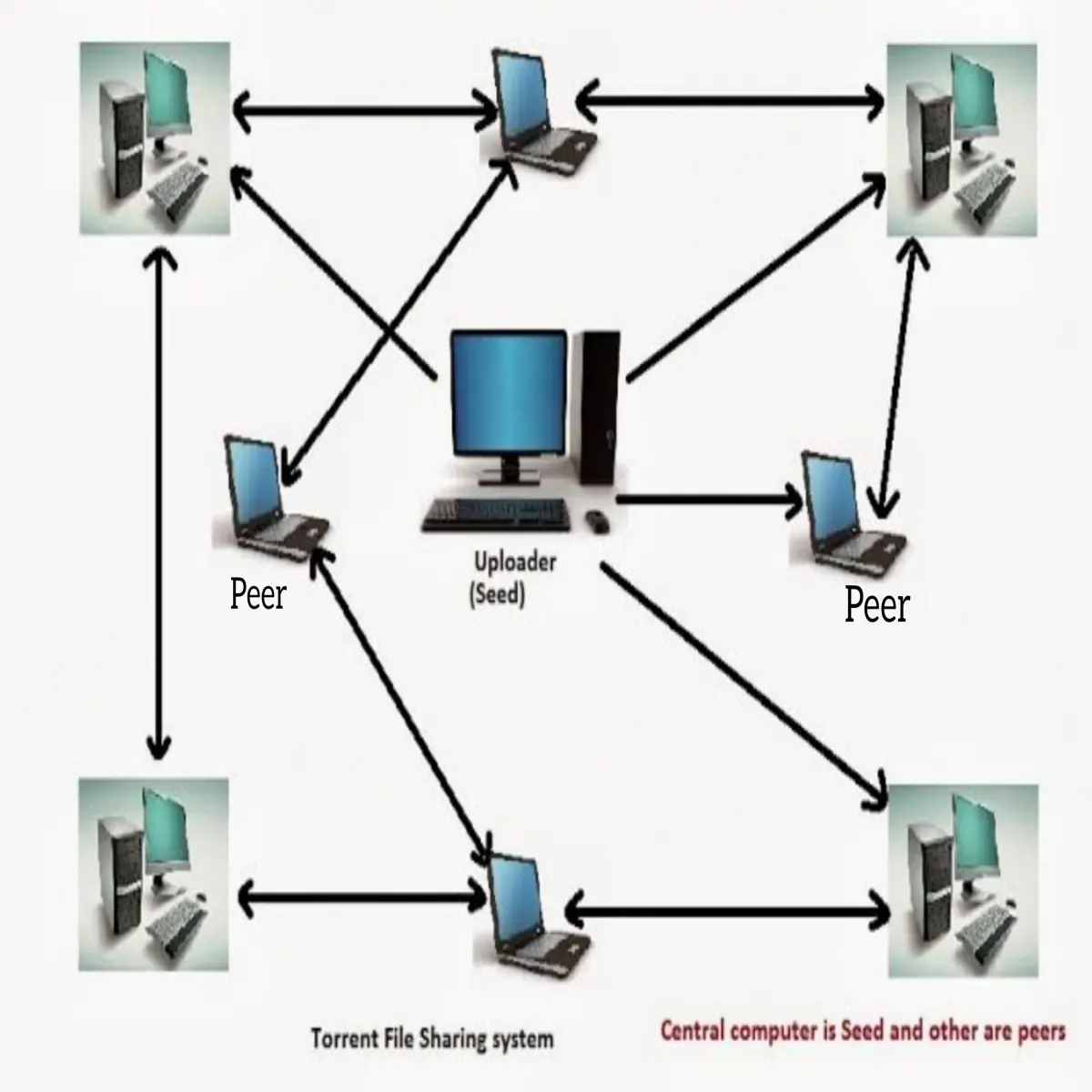 P2P model of File Sharing by BitTorrent protocol