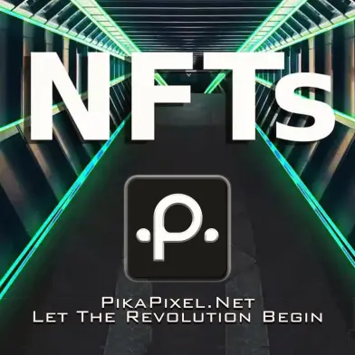 PP Full Access 004