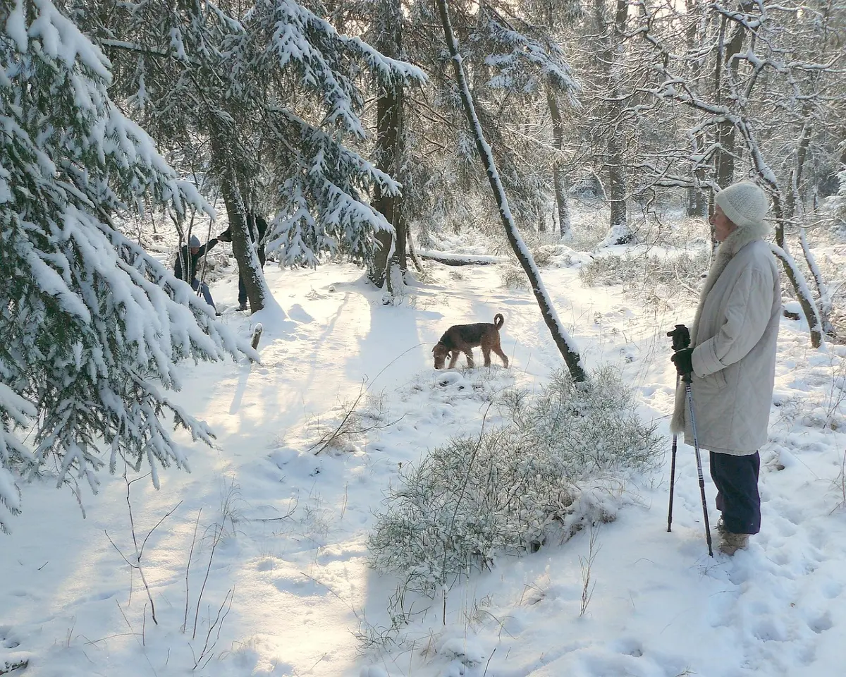 Its snow joke Walking the dog