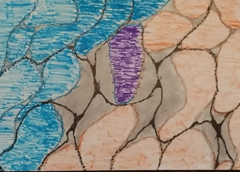 3df34540b58ed78536c1e43fd4ecead262d579722021d9110402e3f64285b89c.jpg