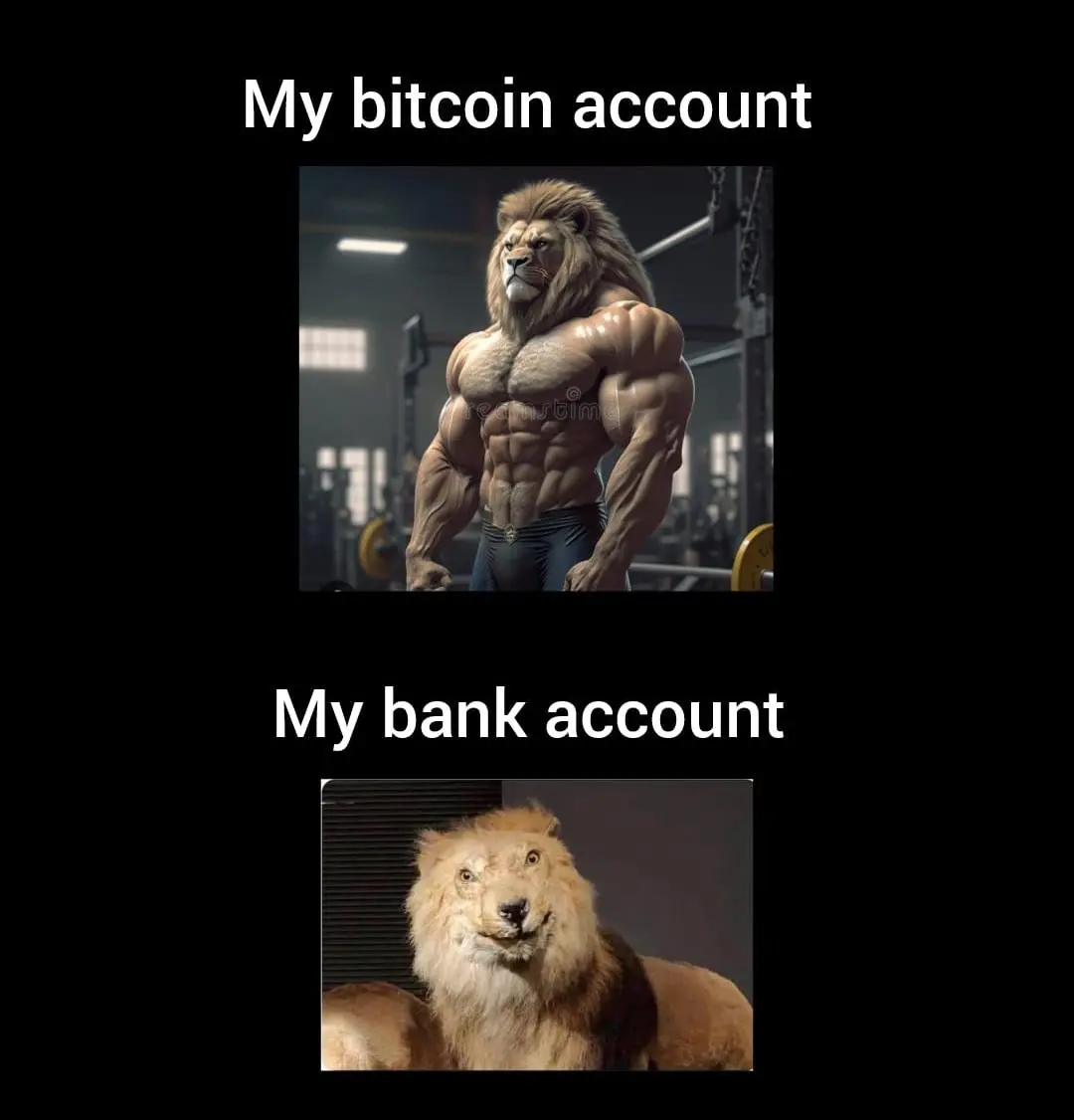 6994118a5535bc345c274c6a5b4c4fa1726870c5fcb6a296716d72835d8151f3.jpg