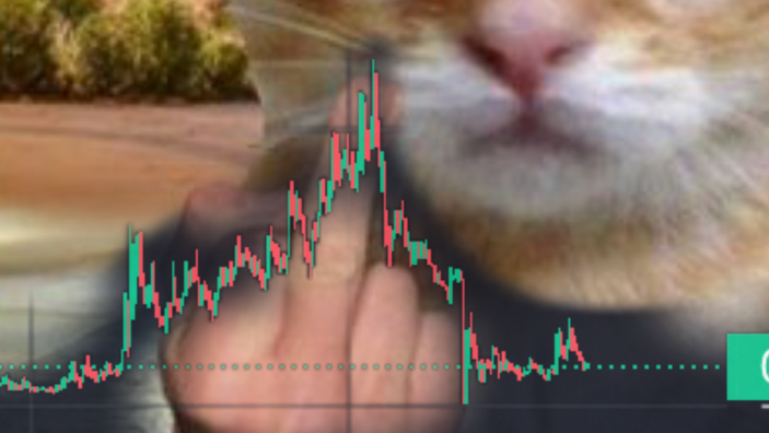 d331ce48273558b4c1cd4af9d2e2d5672c1fdd7f7673bcee9db214e0a04707a1.png