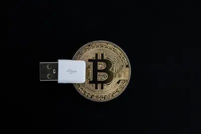 d1647872277da1f0c7073d84090557874d90a7309a4bd21eb109b3bd2a700c03.jpg