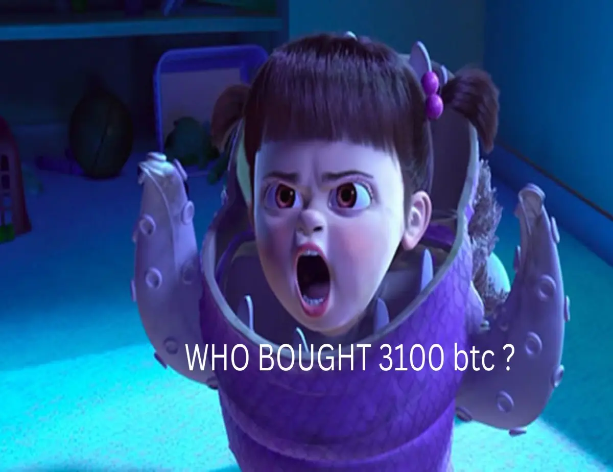 0cec595bc8016e0478c204a4f6f63dfbe0646950f901a7be10c3ca98b88ed2b5.jpg