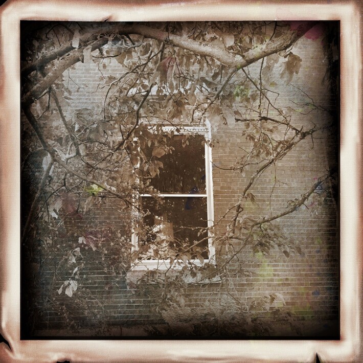Window