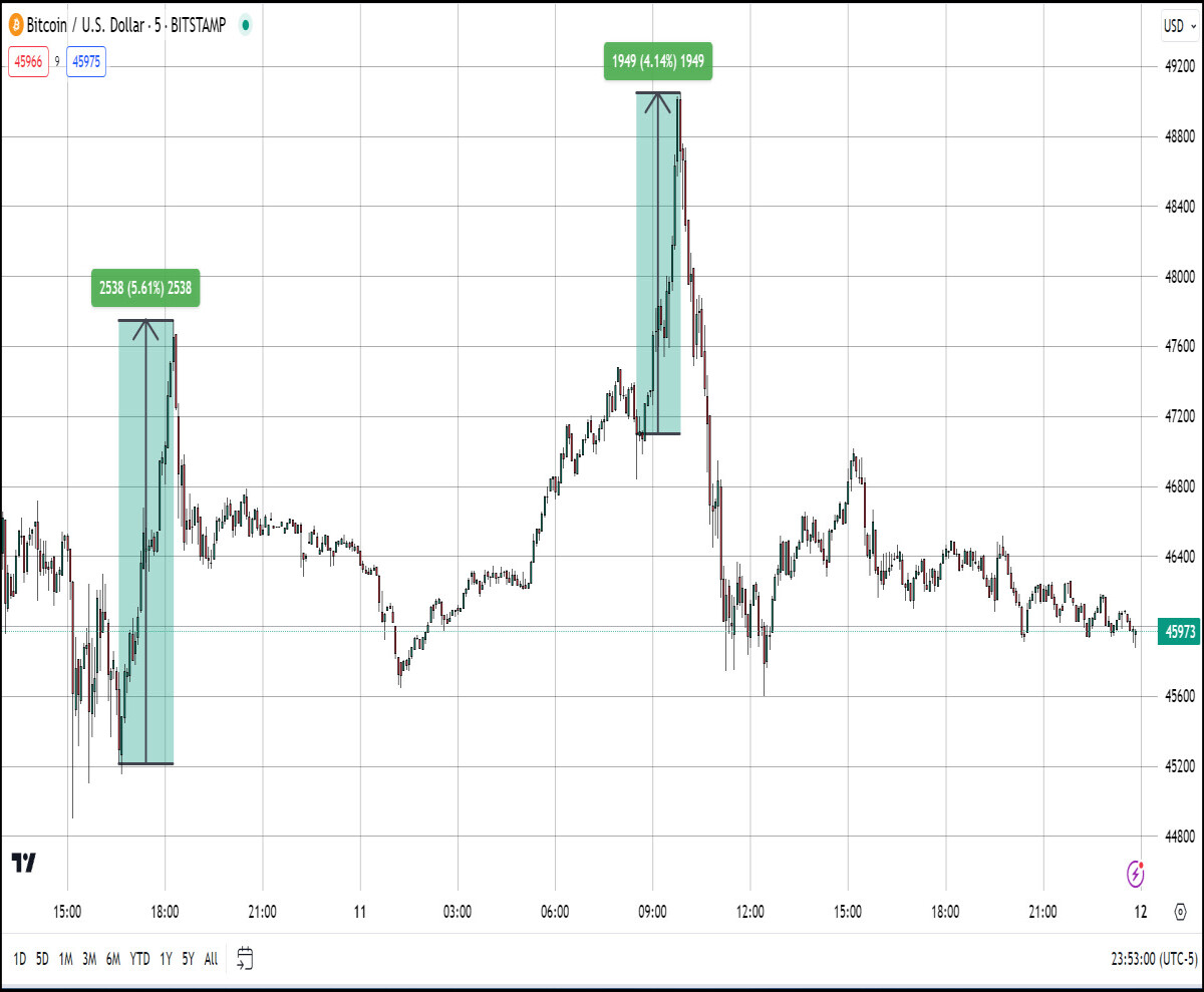 btc pump and dump
