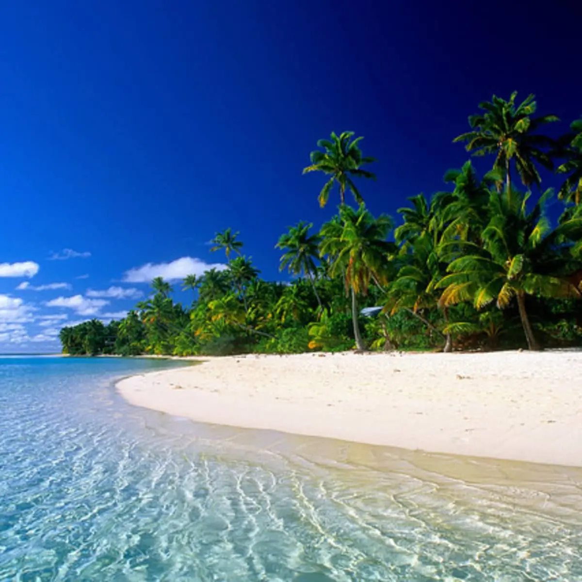 I need a holiday!