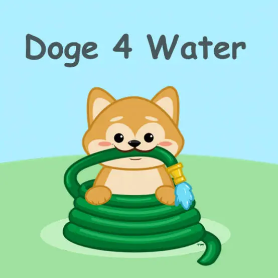 Doge4water charity