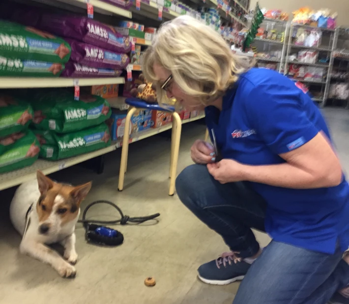 Coco ignoring the treat during leave it drill with the trainer.