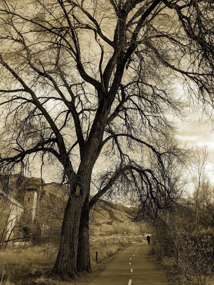 Figure in Old Mill Park