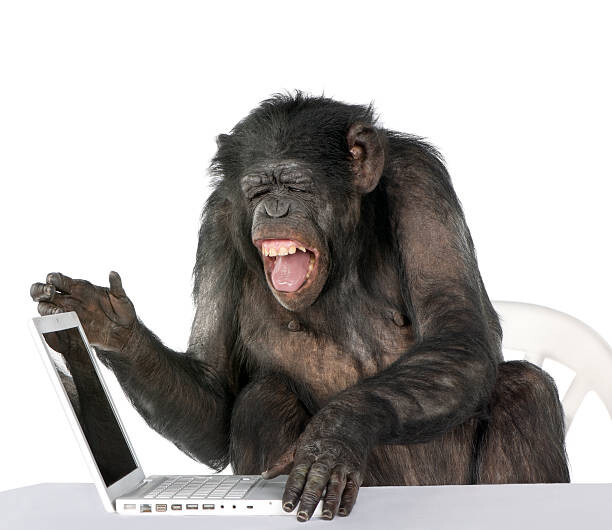No code monkeys will take gaming market share