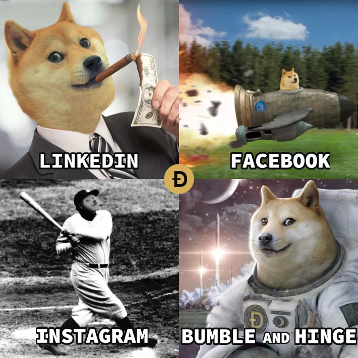 Doge Meme