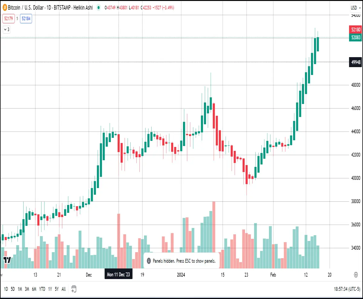 daily btc