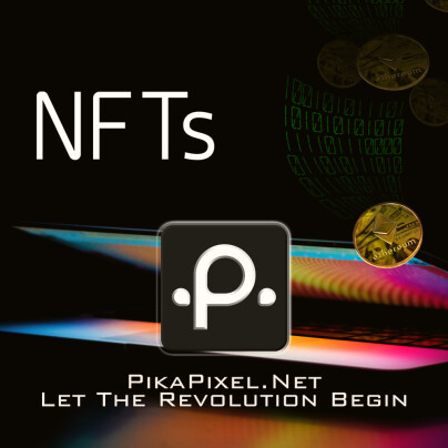 PP Full Access 005