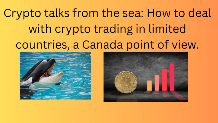 Banner generated in Canva