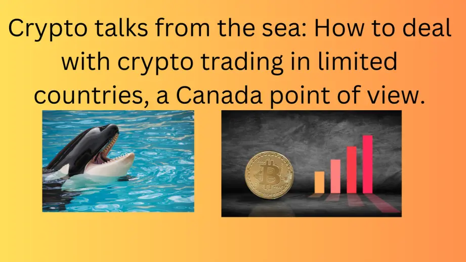 Banner generated in Canva