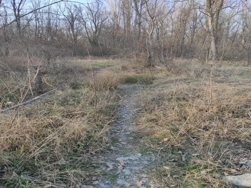 1efca55617cc7a41df517d7055f9ffa8c9ae886078c2aad9d17d36ea37bdb675.jpg