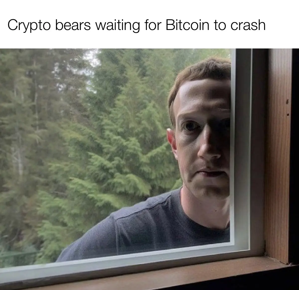 ec863862114b1ed5956541875c91acef21d8fde53e2145c6353eb58e2b56a901.jpg