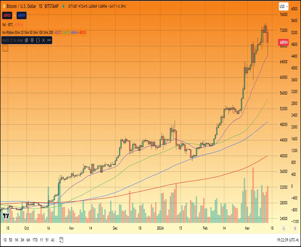 btc pump and dump