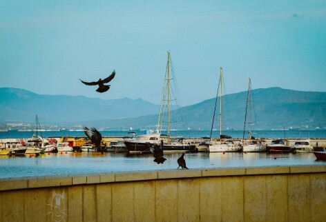 Swimmed in the sea