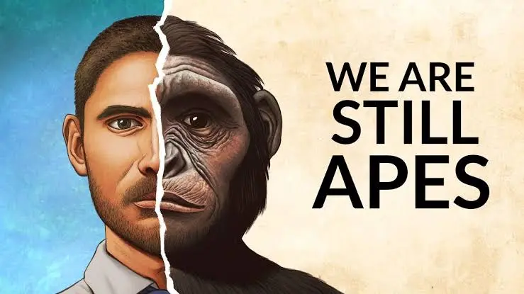 Humans (Homo sapiens) or modern humans are the most common and widespread species of primate, and the last surviving species of the genus Homo. They are one of the five great apes characterized by their hairlessness, bipedalism, and high intelligence.