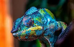 bbbb675a3018e5231d3df8fd8e35fcb21c26af58b7da62def88ebe7f15ac5f8e.jpg
