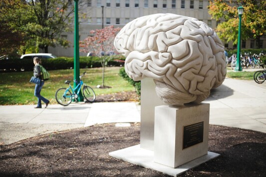 Brain Monument in Bloomington, Indiana, USA