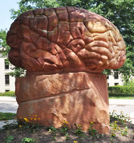 Brain Monument in Kent, Ohio, USA