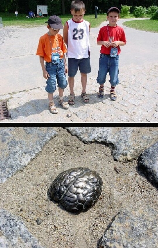 Monument to the Brain in Potsdam, Germany