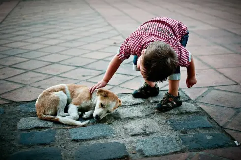 Battle for humanity