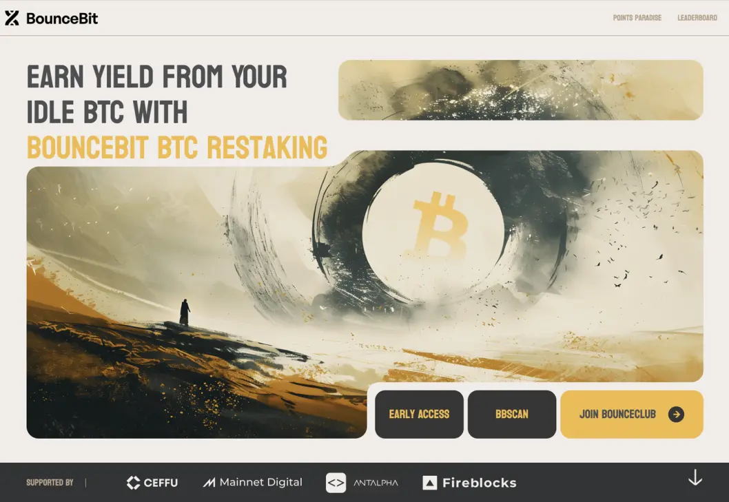 What Is BounceBit?