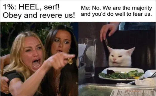 Elites vs 99%