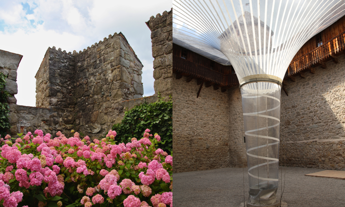 Castle and florews