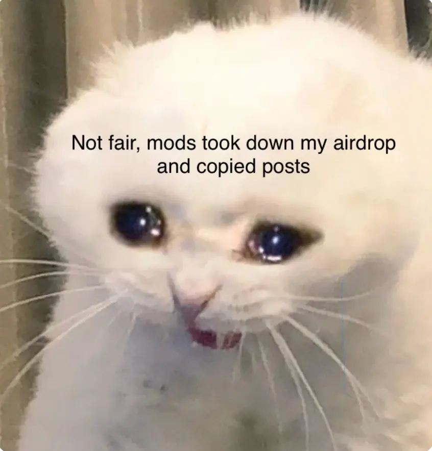 c8e0728e4c57af106ef0751f3d689fecad43f30a92feeb0f7df70a96dd4fd8ad.jpg