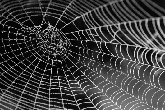 decentralize the web