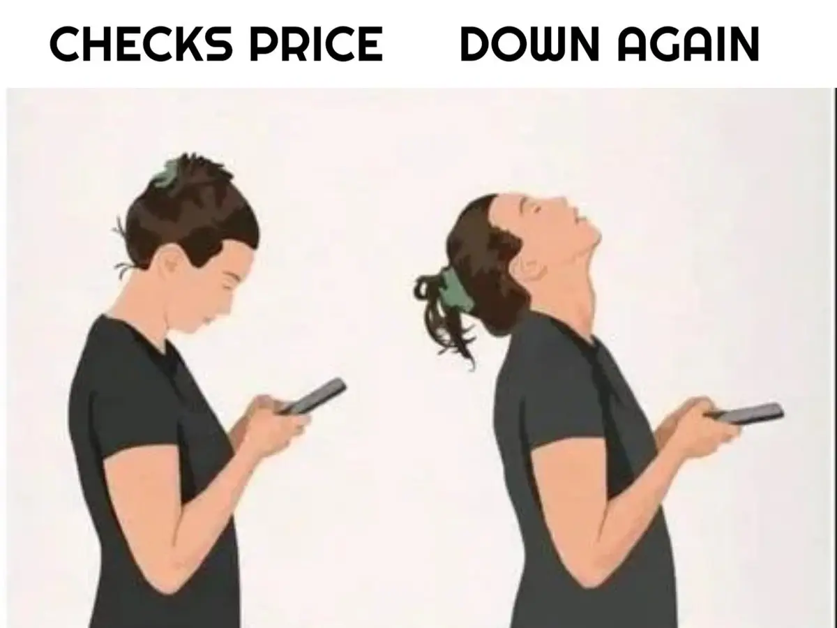 7335221d3247b053fae4ccccf6eb20942dcd9978594ab40ee4d47009c3d5c74c.jpg