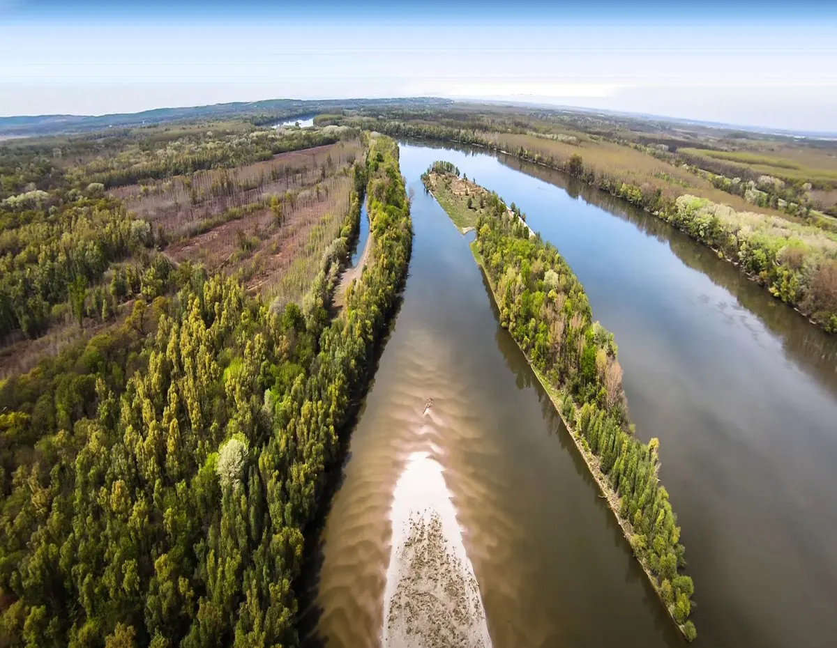Liberland Test Congress Elections