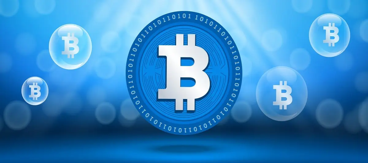 2466951c786f18e781f0f07ef989dd5219cbeba36f0be132b351ff203dd2b2b0.jpg
