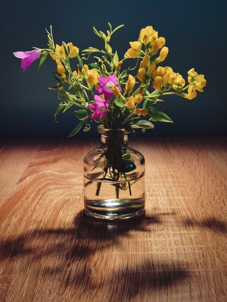 Still life
