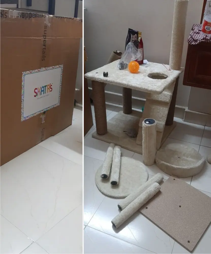 cat pet toys