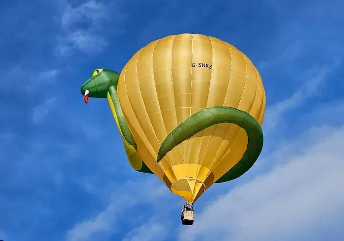 snake balloon