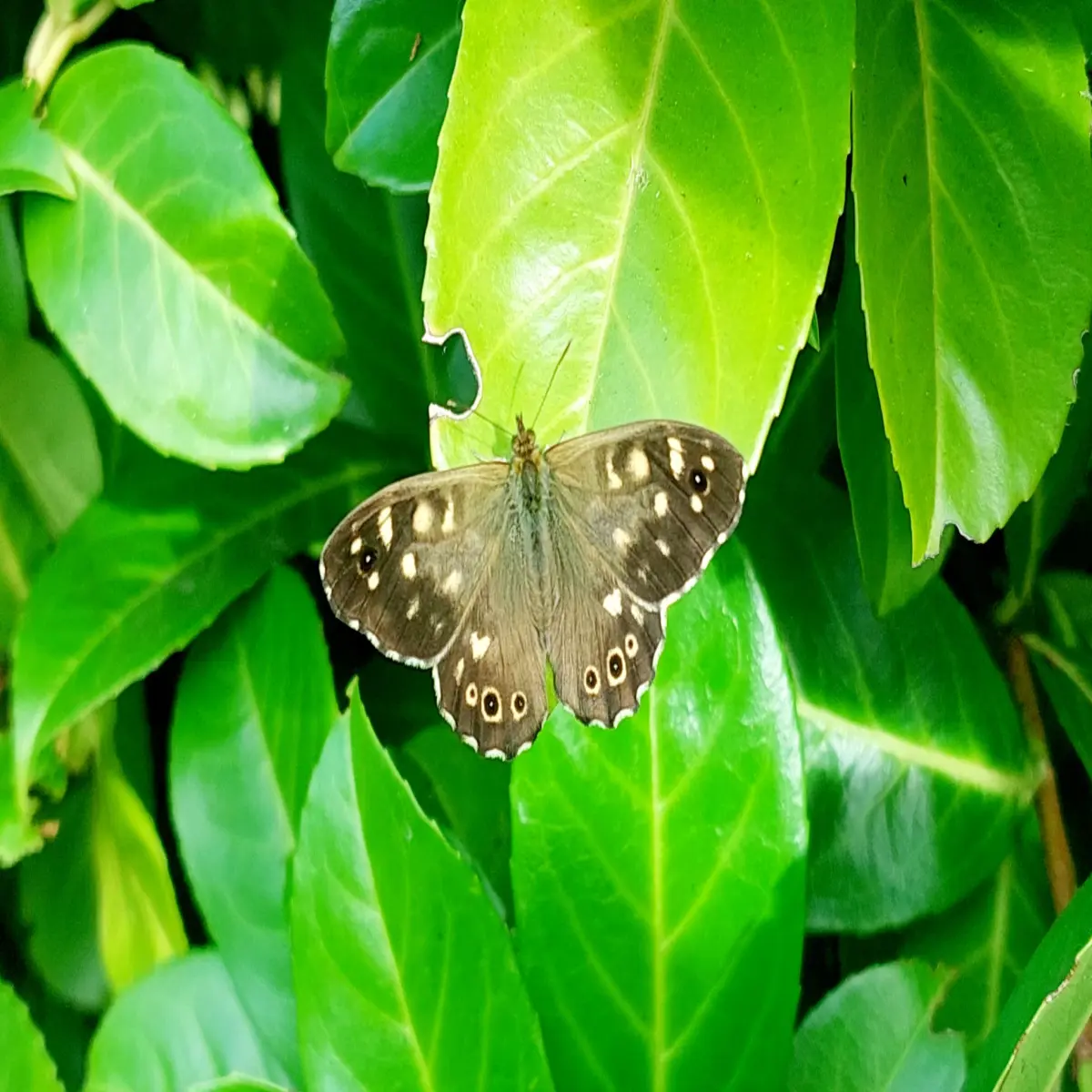 d7c505e292a75213603ccfd7f0d1a6d922fd2fcb36ba504ce6fdb45879ab43e4.jpg